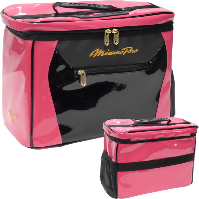 楽天市場】【即日発送可】ミズノ（MIZUNO） 1FJC3S2002 グラブケース 2