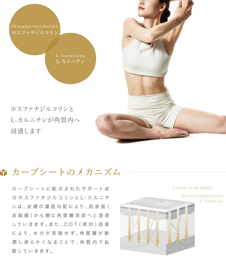 カーブシート(9箱) カーブシート(9箱)