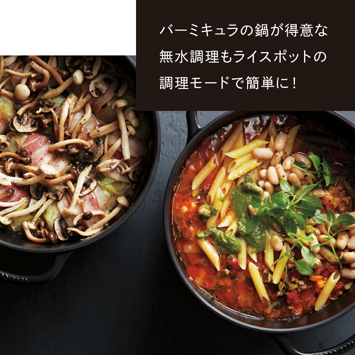 楽天市場】【公式】バーミキュラ ライスポット 5合炊き 炊飯器 | 鋳物