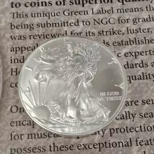 楽天市場】2020 アメリカ イーグル銀貨 1オンスの通販