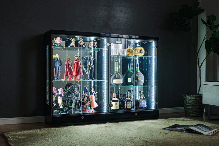 楽天市場】☆ポイント3倍！〜2/23(月)23:59まで☆ コレクションケース