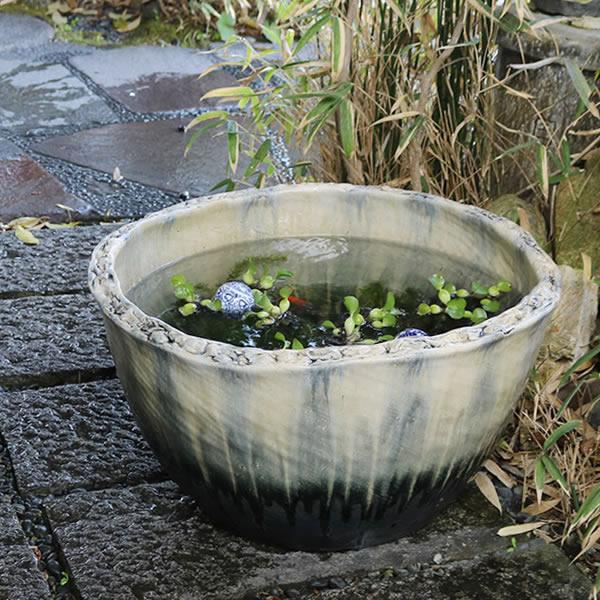 楽天市場】【ポイント10倍】20号白流し水鉢 信楽焼すいれん鉢 メダカ鉢