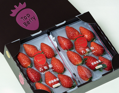 いちごさま専用 いちごさま専用 いちごや様 いちご様 いちごページ 椿