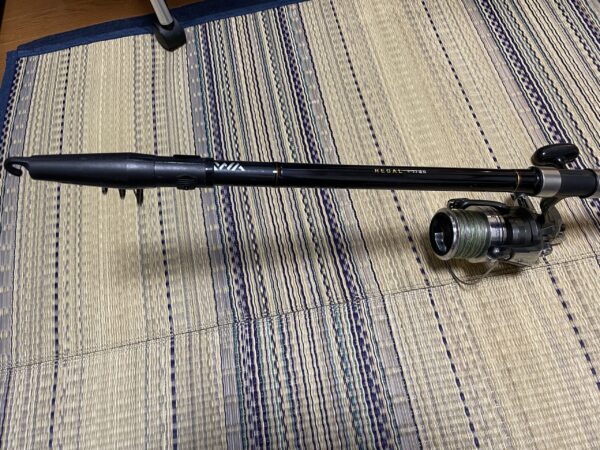 7年使用インプレ】ダイワのリーガル4-53遠投はカゴ釣り初心者に超