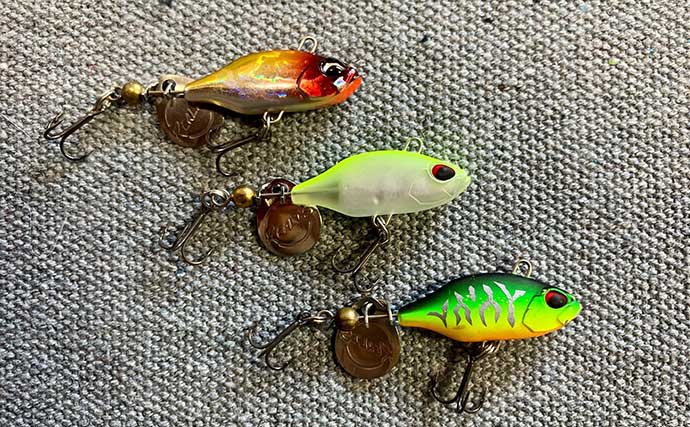 ブラックバス釣りで【初心者が最初に買うべきおすすめルアー6選