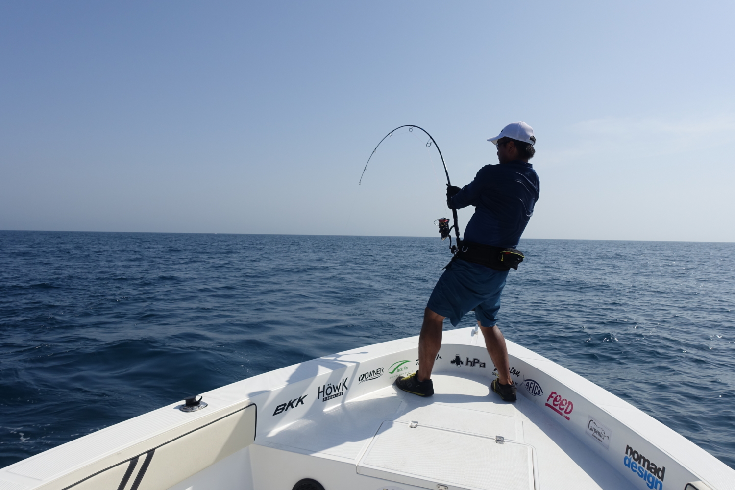 WhiteInsight 8010 | TRUTH JAPAN