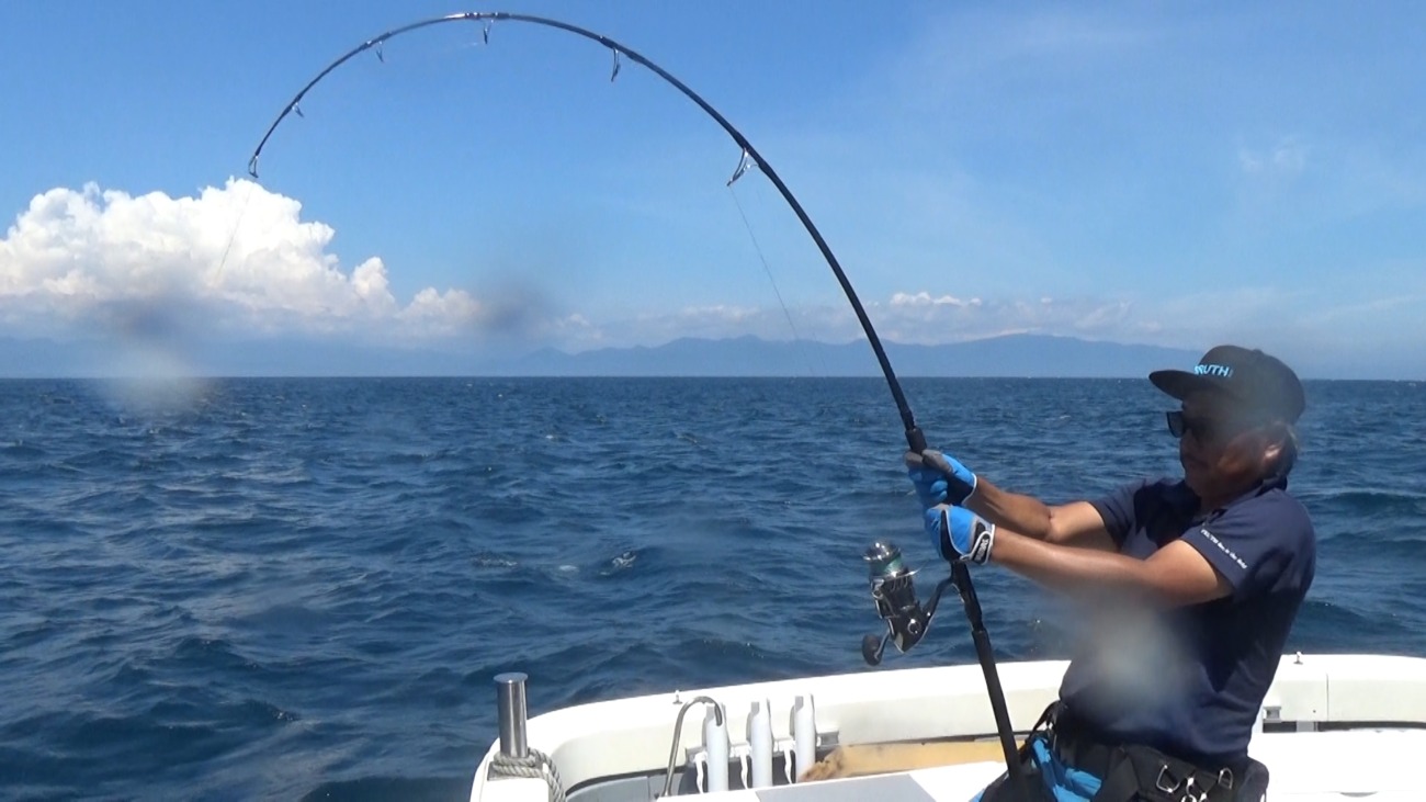 WhiteInsight 7610 | TRUTH JAPAN