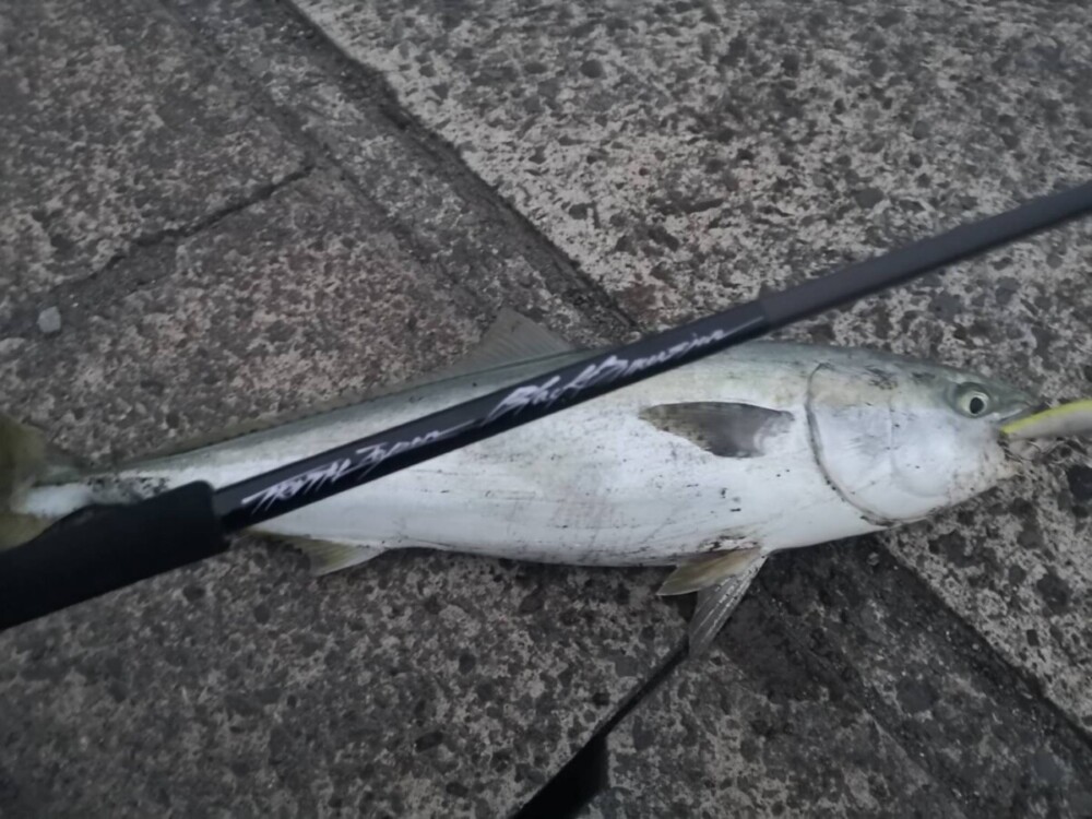 鹿児島県 甑島 ショアプラッキング BlackDimension MH Proto No.1