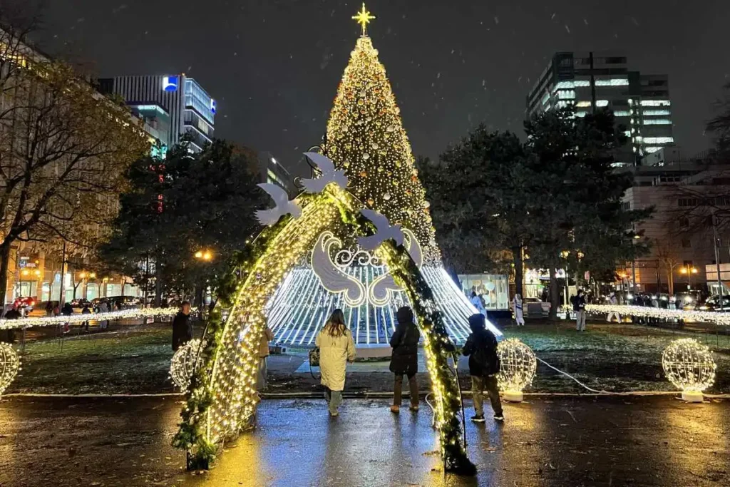 2025さっぽろホワイトイルミネーション」開幕！77万個の光で彩られる冬