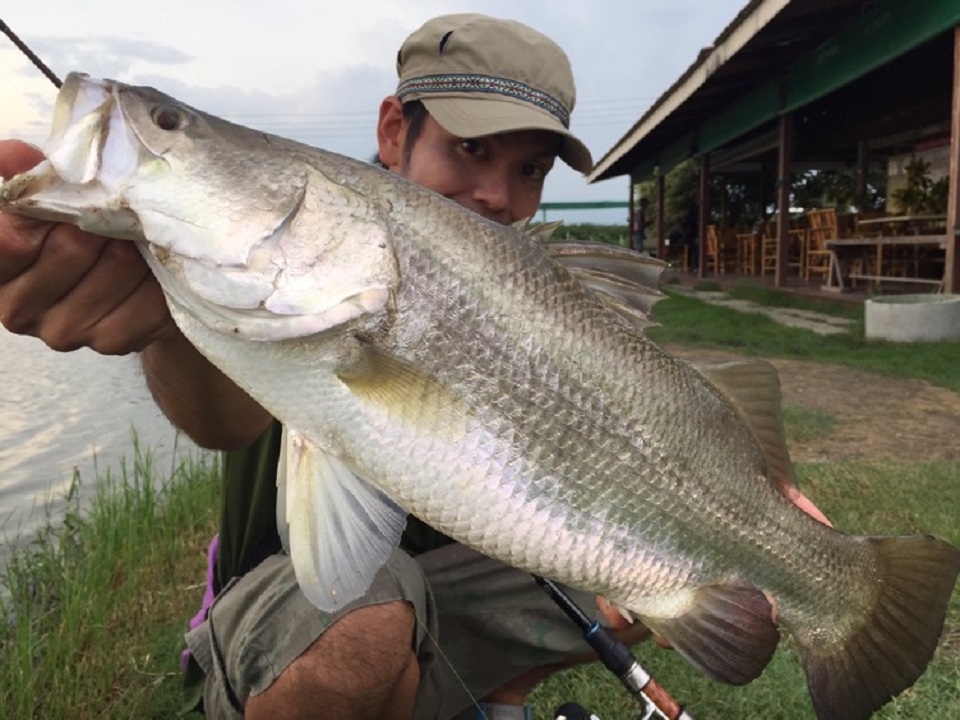 TULALA | Ford every stream | » 【公式】すべての人力旅行者の為に