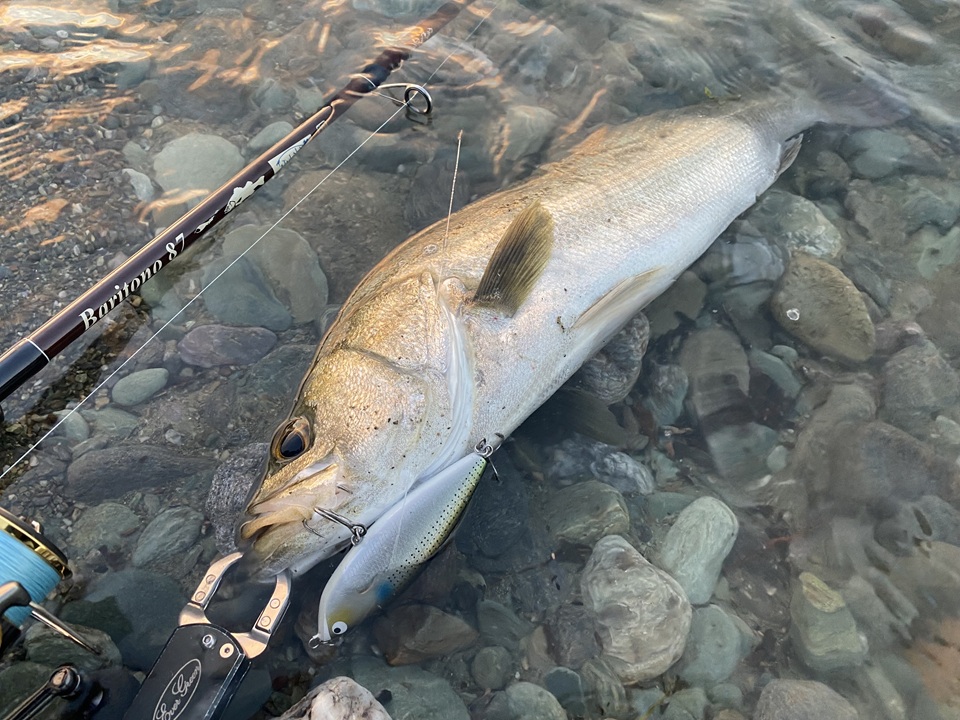 TULALA | Ford every stream | » 【STAFF】9月29日受注開始 BariCraft