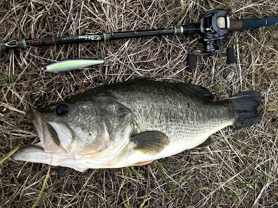 TULALA | Ford every stream | » 【STAFF】グラットンC86Mで初秋釣り