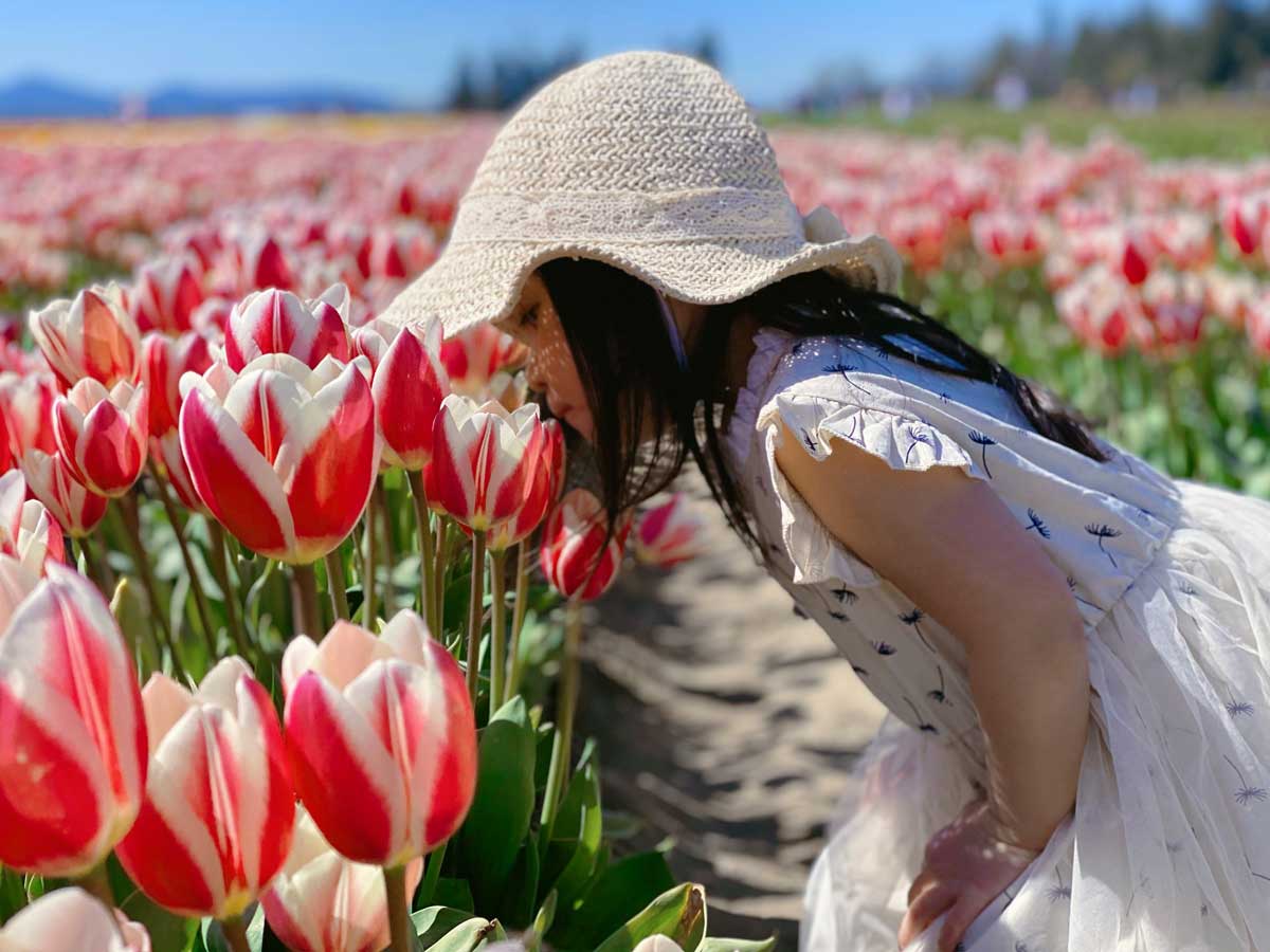 Plan Your Tulip Festival Trip | Skagit Valley Tulip Festival