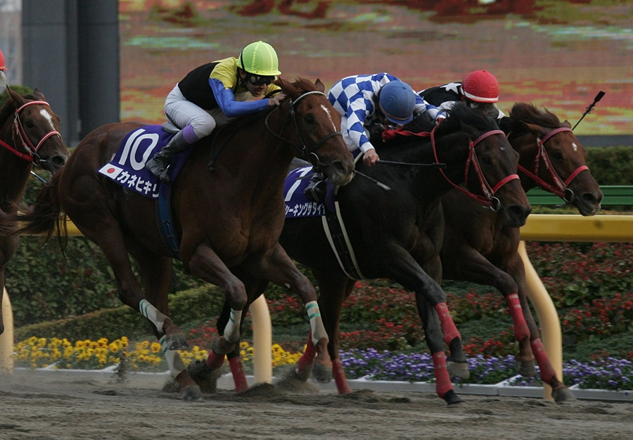 カネヒキリ（上）～再生医療で屈腱炎を克服した砂の王者 | 鈴木正の