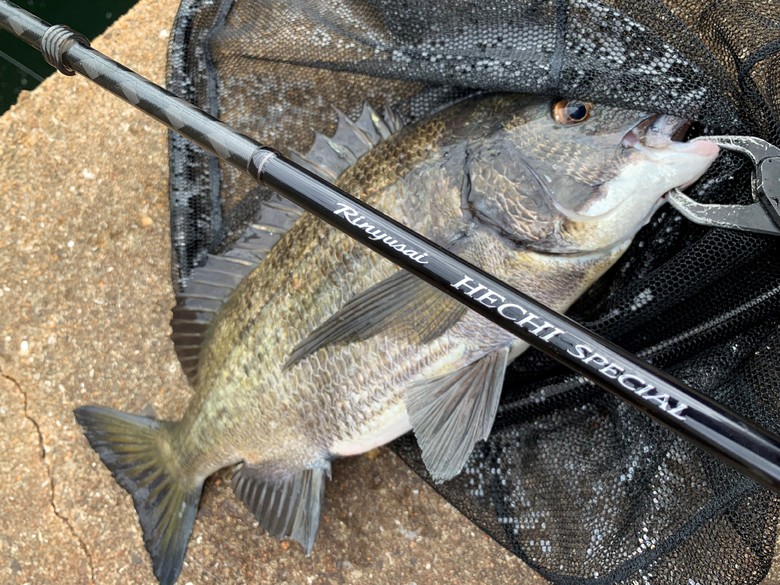 シマノ、NEWリンユウサイ ヘチスペシャル インプレ | UROKODO