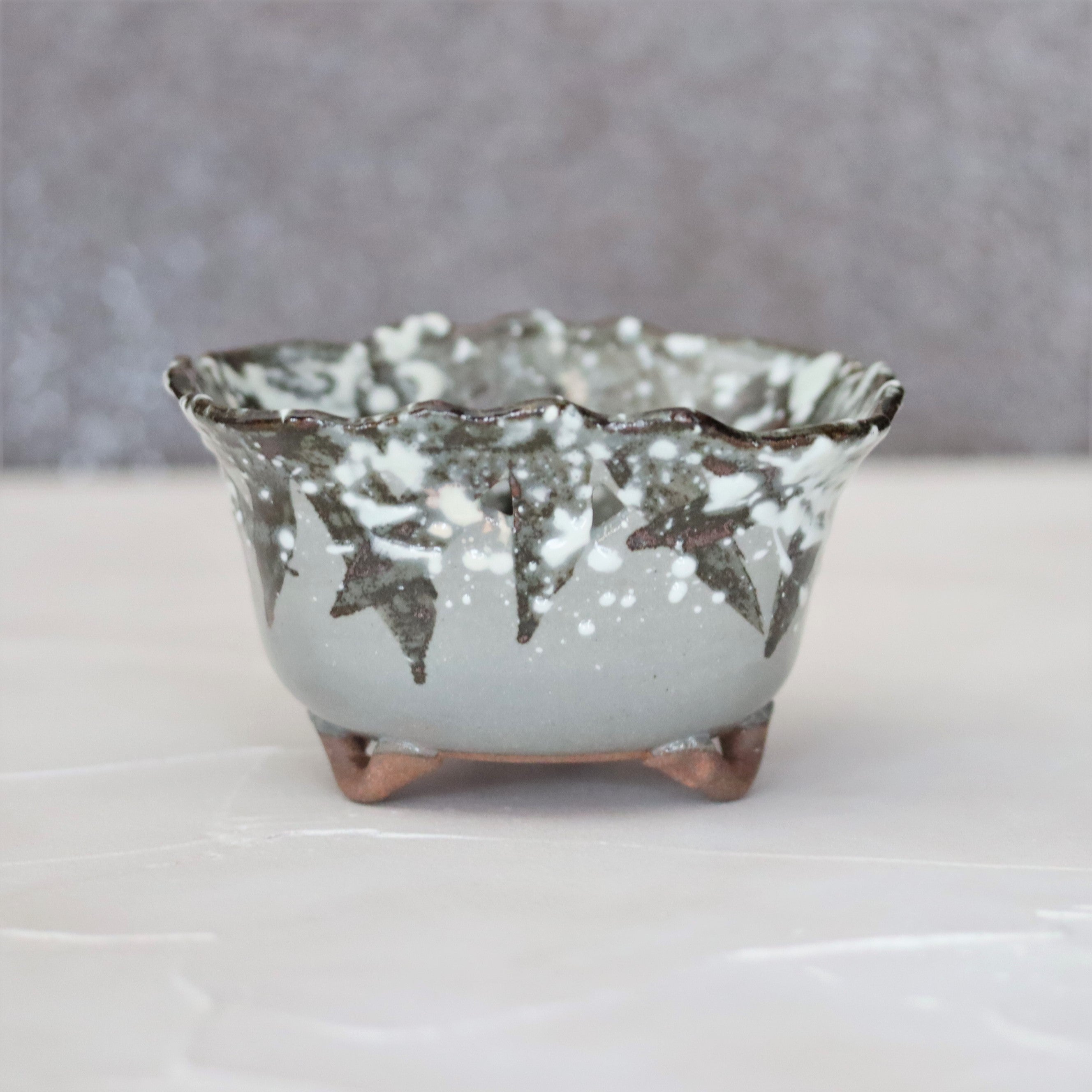 乾山写雪笹角向付 – うつわ御結