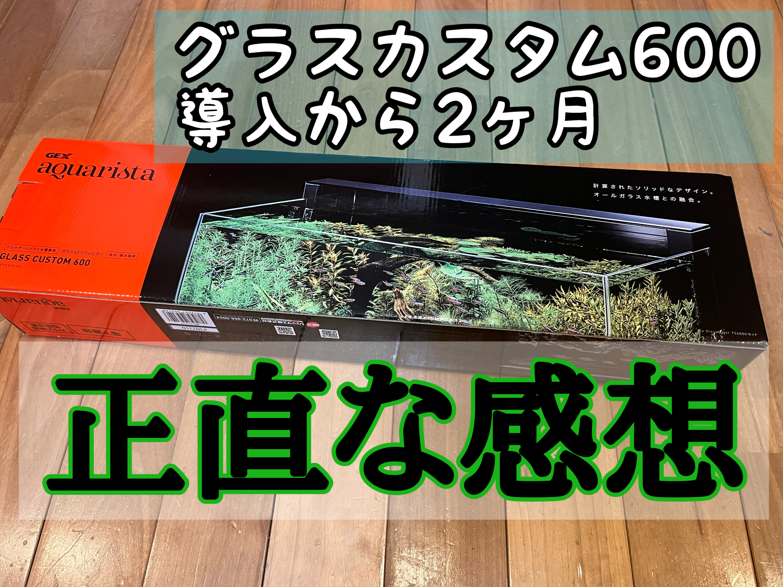 GEXグラスカスタム600を2ヶ月使ってみた正直な感想 - 惑星おじさん