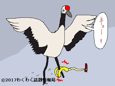 鶴の恩返し』のオリジナル絵本だよ！彼女が伝えた教訓とは？