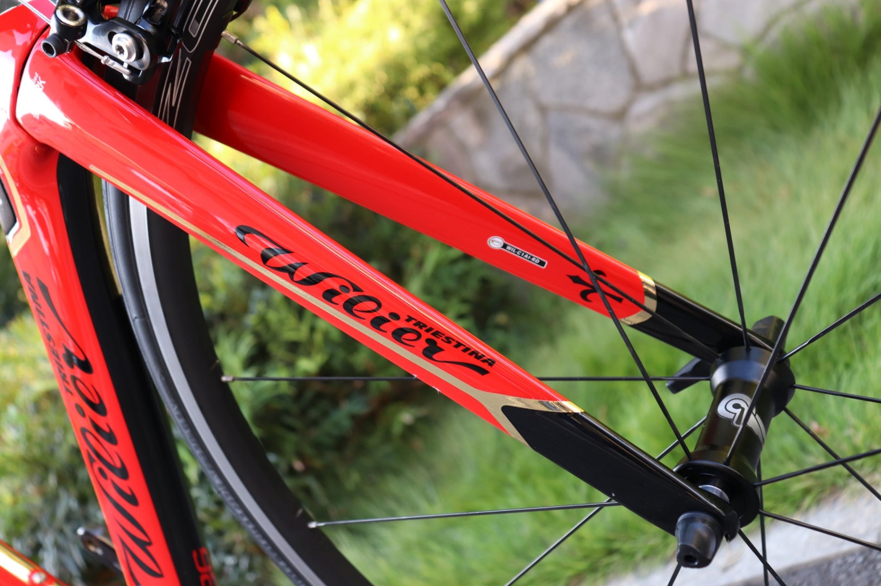 ynr3t1cjN30odZ2dJucUcO8wb4ZzSF