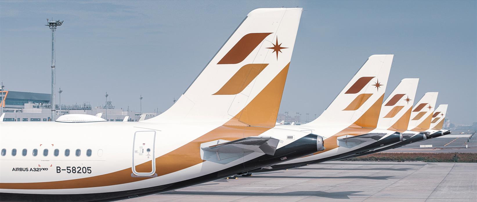 c*n様 レア品‼️STARLUX A321 航空機モデル c*n様 レア品‼️STARLUX