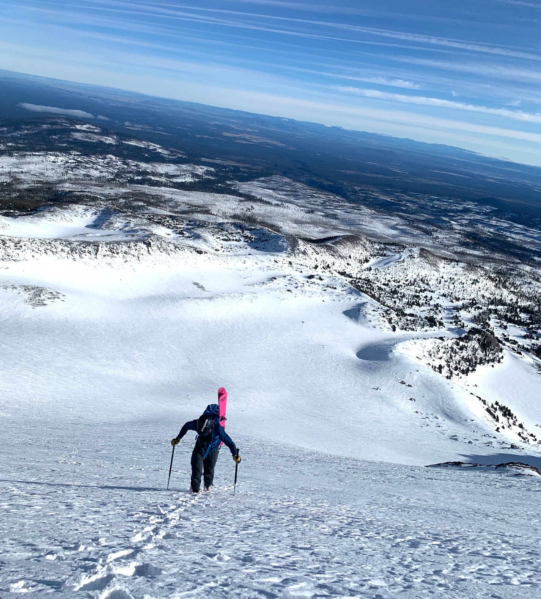 Black Crows Corvus Freebird (The Pink One): A Review - The