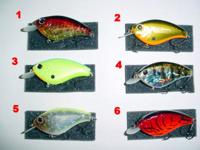 エバーグリーンのクランクベイト | フィッシング叶