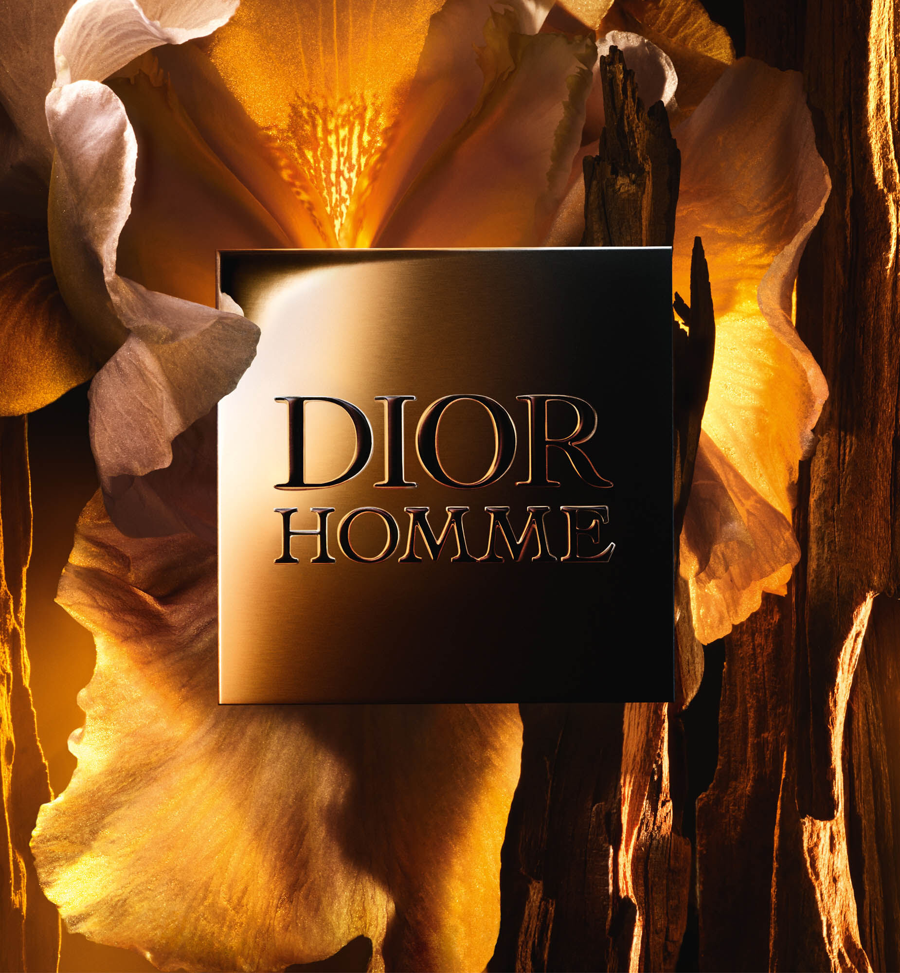 Dior Homme Parfum | Dior ID