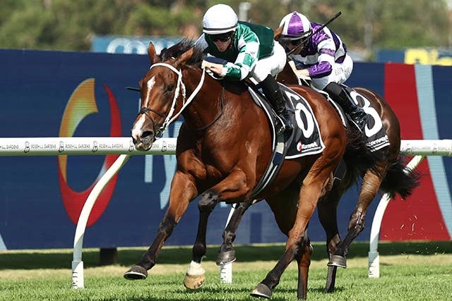 1992年G1レース馬券 エルウェーウィン スエヒロジョウオー 新しい風