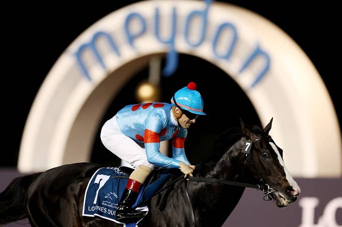 イクイノックス 2023 ドバイシーマC ルメール騎手直筆サイン 鬣 一本