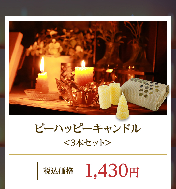 ミツロウキャンドルナイト2025夏至 | 山田養蜂場 | 想いをつなごう