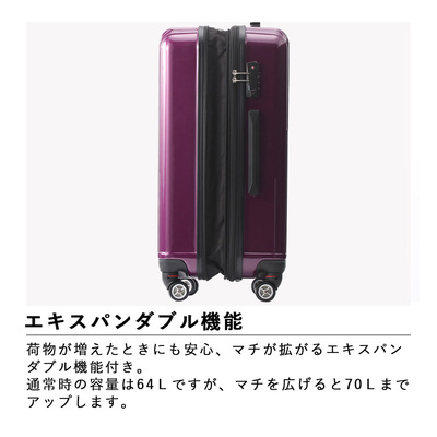 送料無料 正規品 スーツケース エース ACE クレスタ 06317 64L-70L 5泊