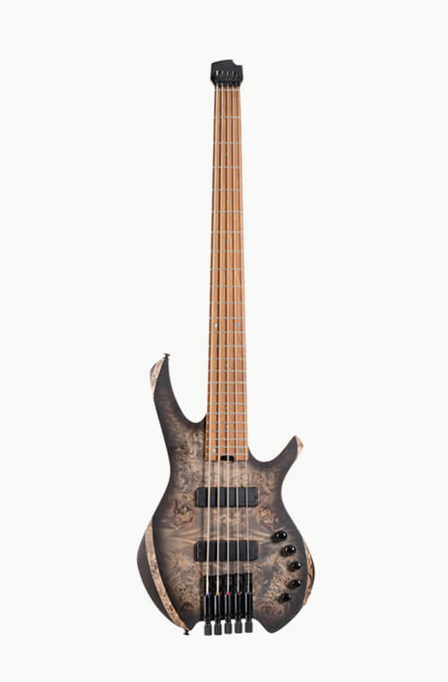 5-String Bass Guitar