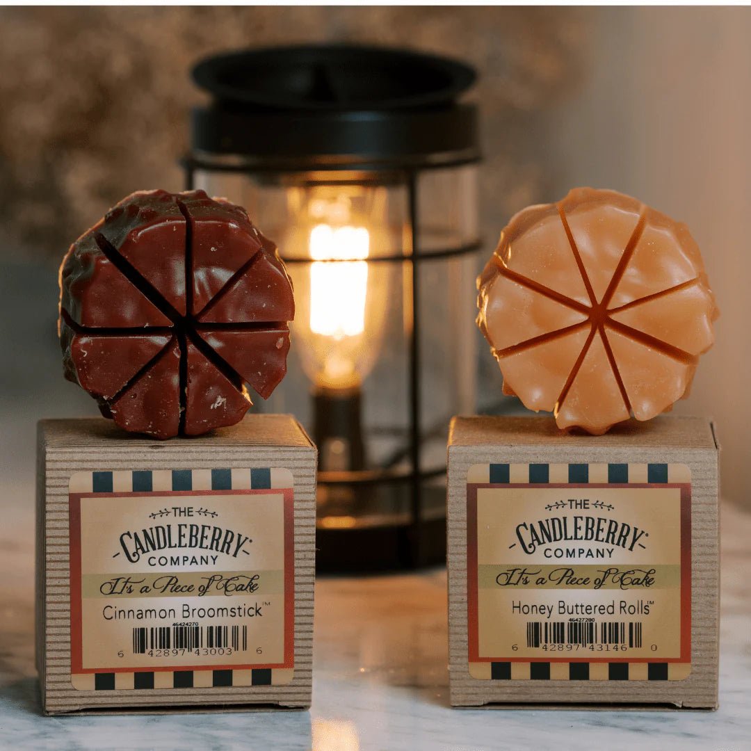 Double Cavity Silicone Warmer Insert | Candleberry - The