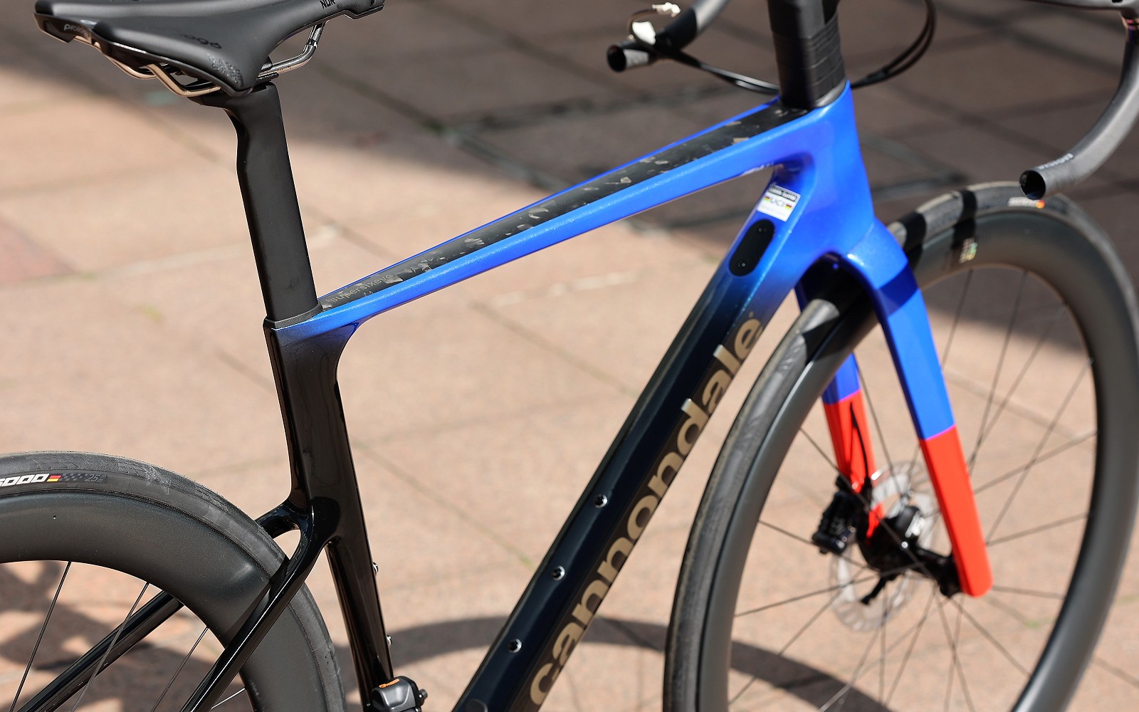 3月, 2023 | キャノンデール横浜