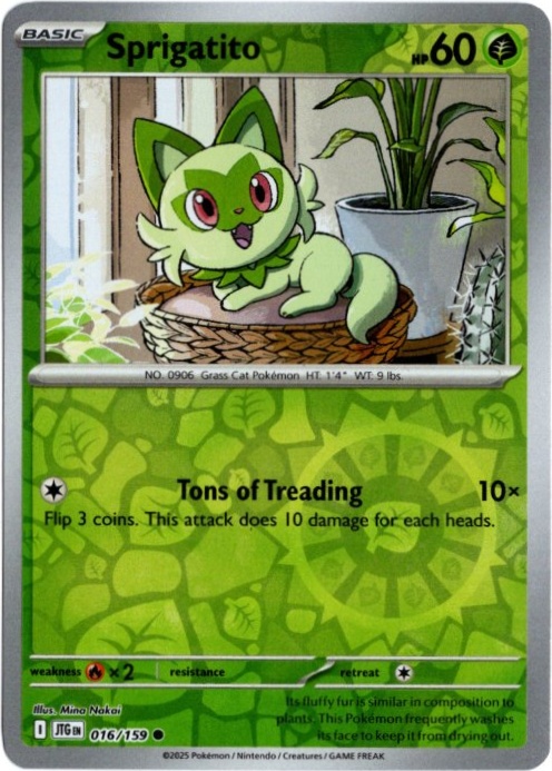 ニャオハ 海外版 英語版 リバホロ Sprigatito - 016/159 -【Card Chicken】