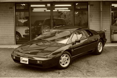 専用品】TRYHORN 様 ロータスエスプリ 専用品】TRYHORN 様 ロータス