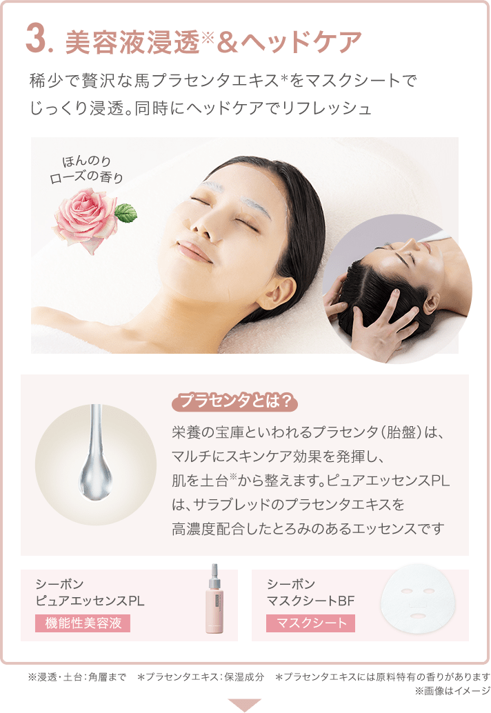 C'ores RAISE│【公式】シーボン（C'BON）ホームケア（化粧品）と