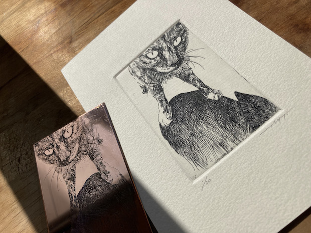 はじめての銅版画 ー エッチング、線から生まれる表現の魅力 | みんな