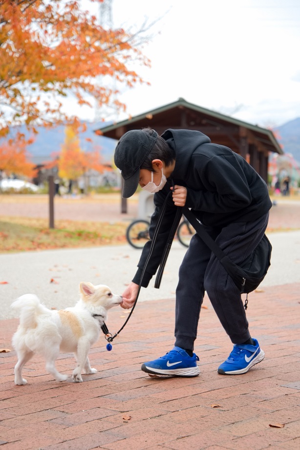 長野市公式ホームページ ～幸せ実感都市ながの～