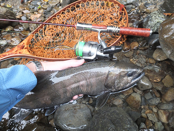 スタッフニュース｜Casket カスケット