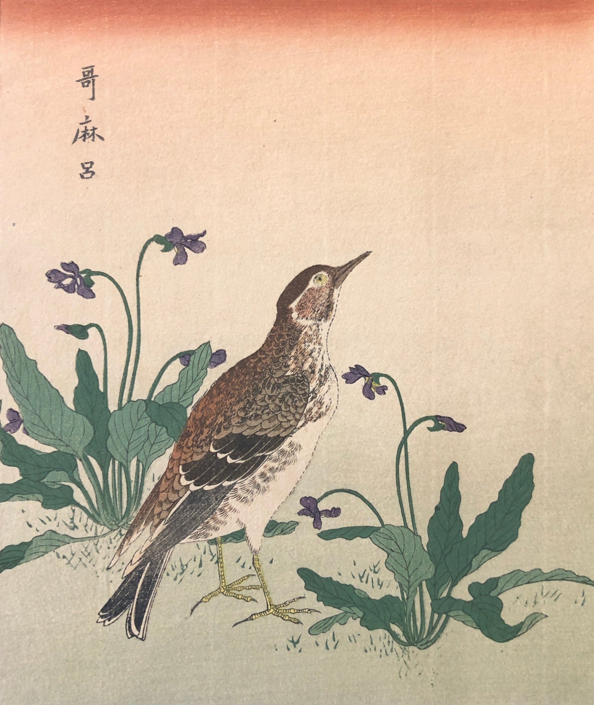 IMG_6399_4a7d1bc4-1b6d-4418-