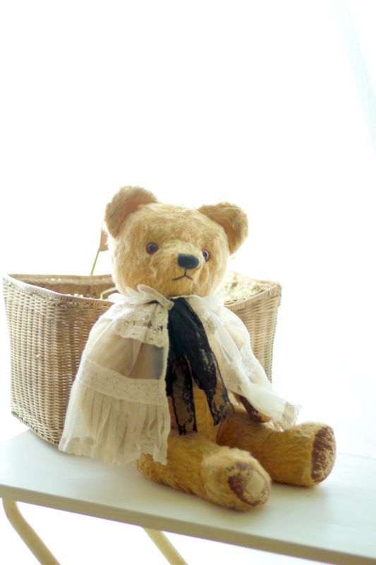 イギリス名門チャド・バレー社アンティークテディベア /Antique