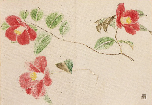 天才画家 速水御舟 作品集大作編 便利堂監修 NO 31 【名樹散椿】画集