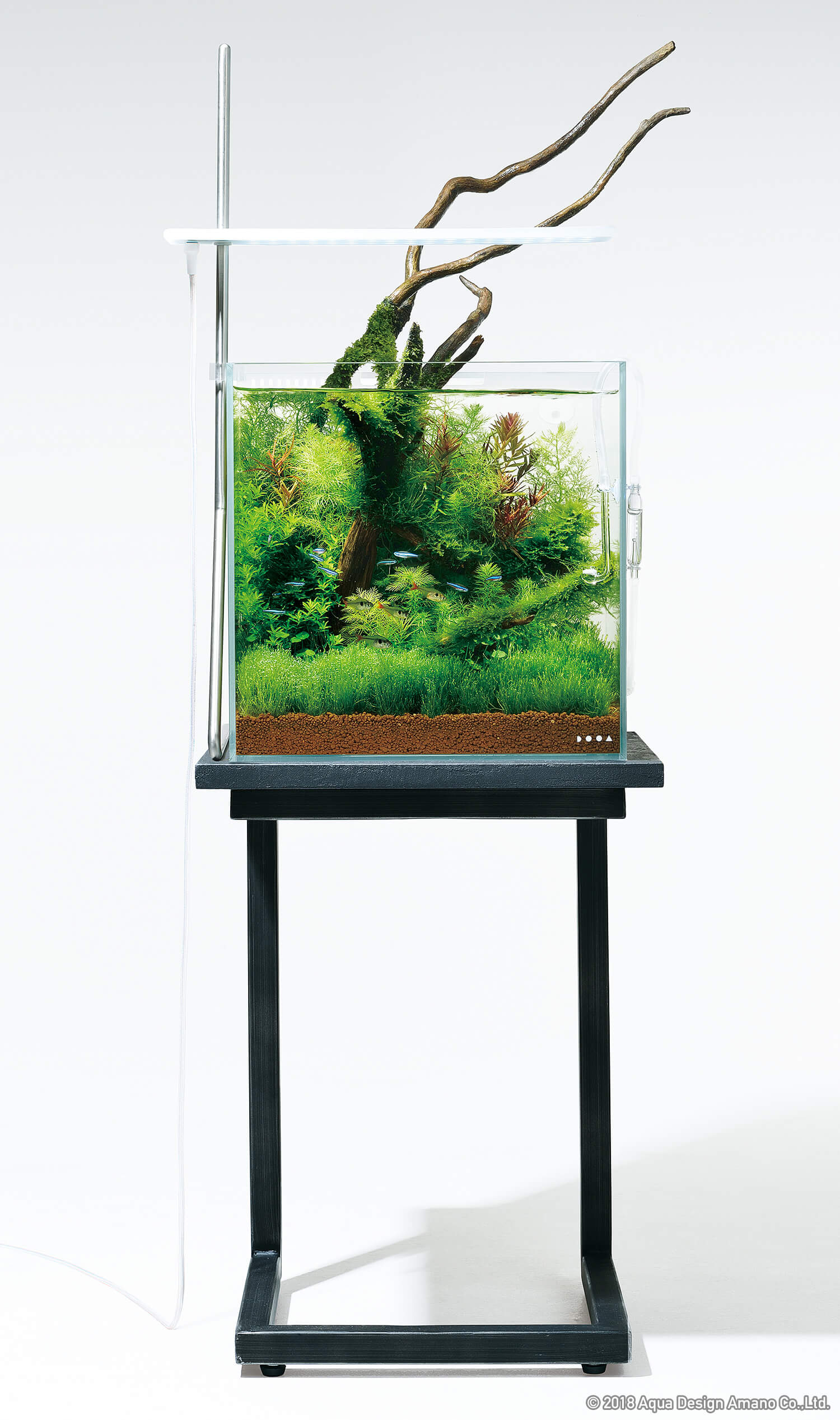 水草の健康な育成はそのままに、自由を手に入れた照明器具 | NEWS | DOOA