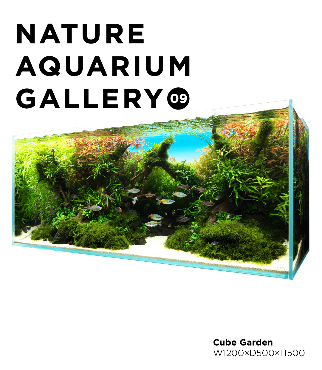 Cube Garden | ADA - PRODUCT - AQUARIUM TANK