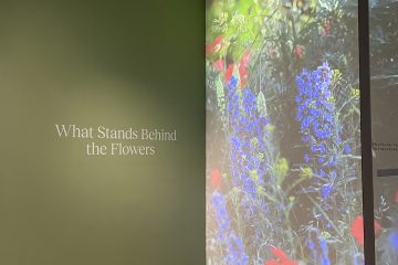 代官山 蔦屋書店 | NAIJEL GRAPHの個展「New Paradise – STORIES BY