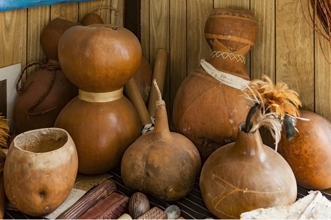 イプ｜ハワイ州観光局公式ラーニングサイト