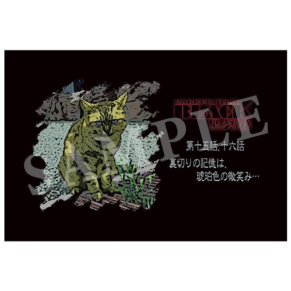 DARKER THAN BLACK 15th Anniversary アイキャッチポストカードセット