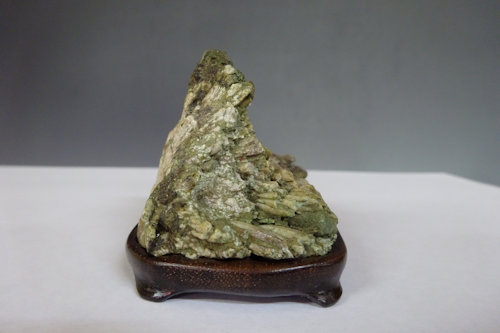 菊花石 (下仁田産) 【 水石 22 ― 04 】 - 小品盆栽専門店 湘風園