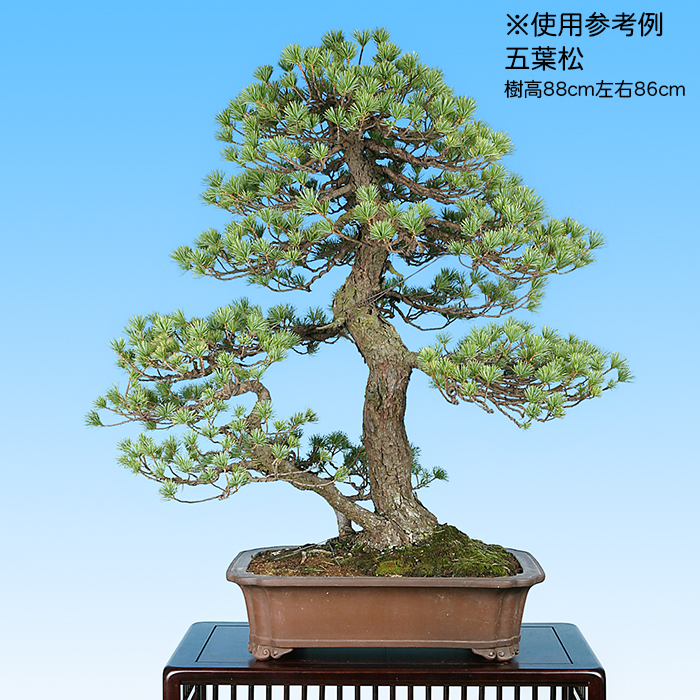 736.平安虹泉 梨皮紫泥隅角段足長方 盆栽鉢 植木鉢 9.4*7.6*4cm 736